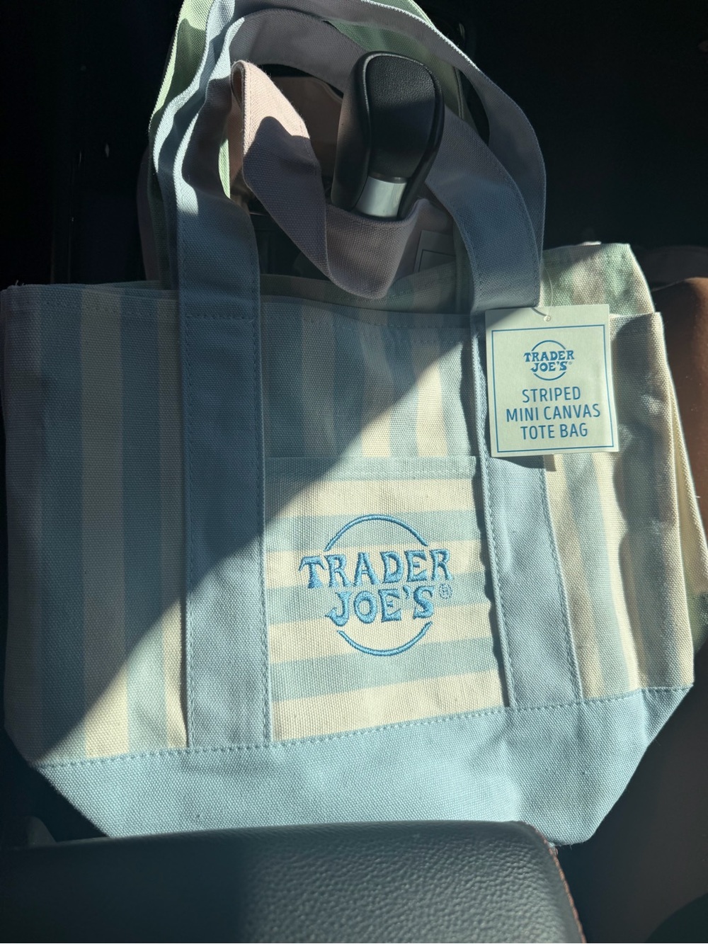 Trader Joe's Light Blue & White Striped Mini Canvas Tote Bag